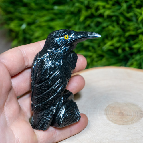 Large Onyx Raven