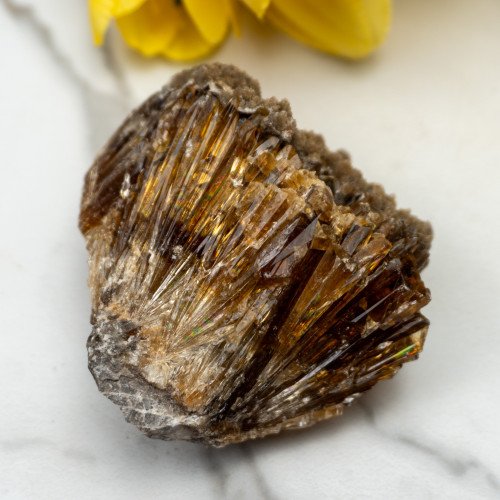Amber Calcite #3