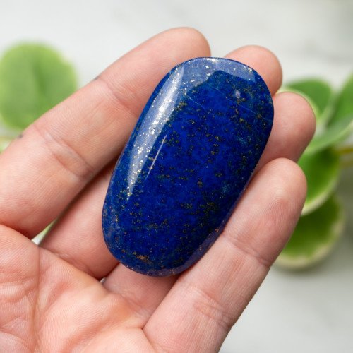 Lapis Lazuli Palmstone #5