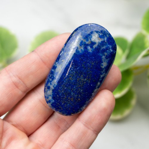 Lapis Lazuli Palmstone #5