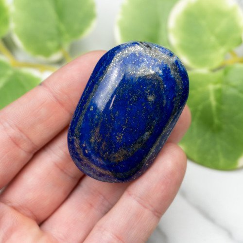 Lapis Lazuli Palmstone #3