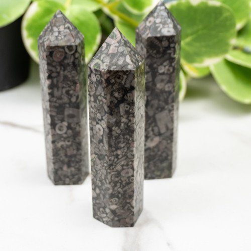 Fossil Shell Jasper Tower Random