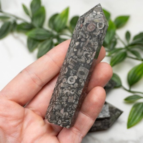 Fossil Shell Jasper Tower Random