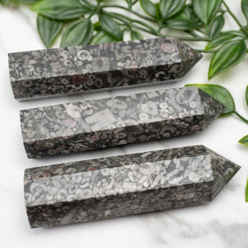 Fossil Shell Jasper Tower Random