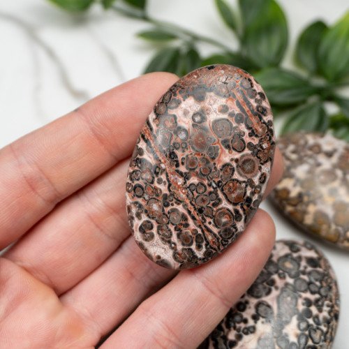 Leopard Skin Jasper Palmstone Random