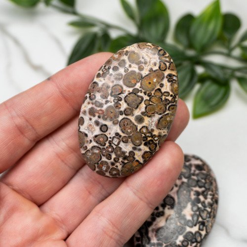 Leopard Skin Jasper Palmstone Random