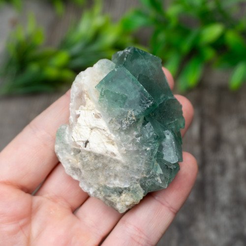 Green Fluorite (Madagascar) #23