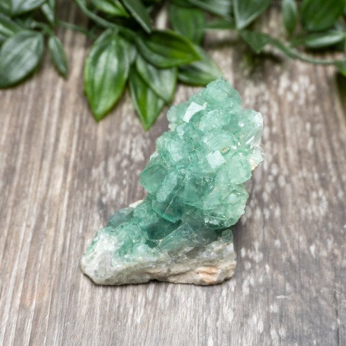 Green Fluorite (Madagascar) #10