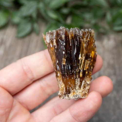 Amber Calcite #6