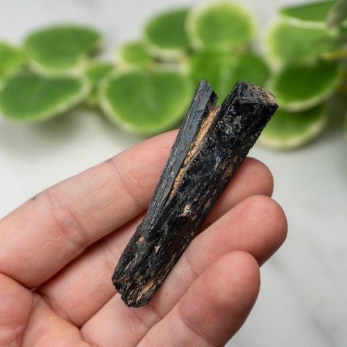 Namibian Black Tourmaline #8