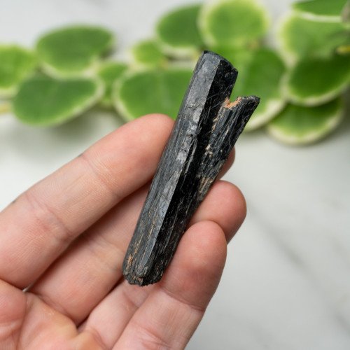 Namibian Black Tourmaline #8