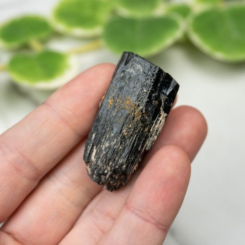 Namibian Black Tourmaline #4