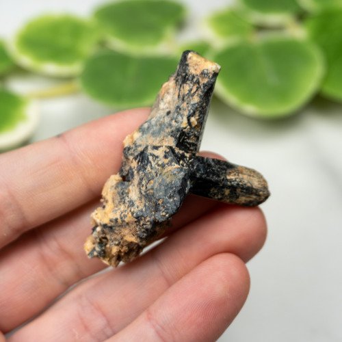 Namibian Black Tourmaline #1