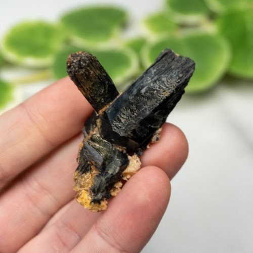 Namibian Black Tourmaline #1