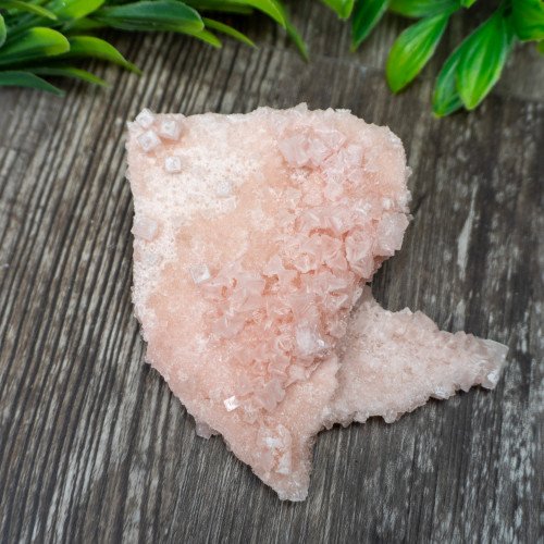 Pink Halite #8