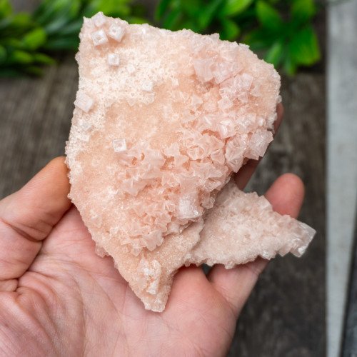 Pink Halite #8