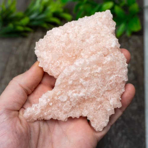 Pink Halite #8