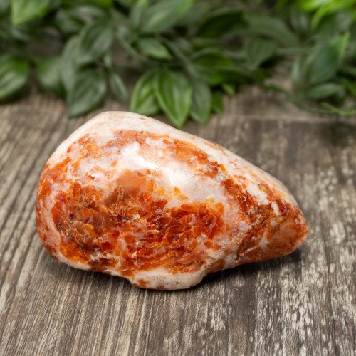 Carnelian Breche Agate #1