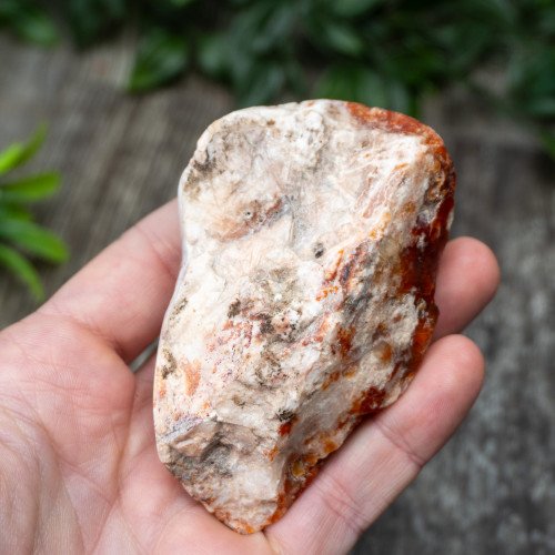 Carnelian Breche Agate #1