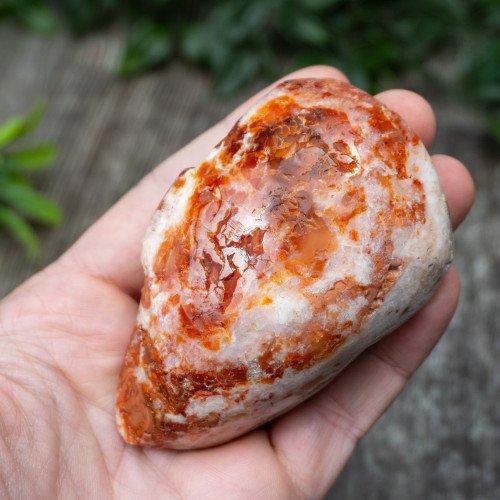 Carnelian Breche Agate #1