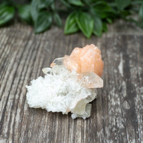 Apophyllite with Stilbite on Crystallized Quartz #8