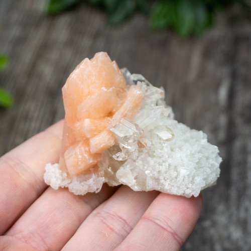 Apophyllite with Stilbite on Crystallized Quartz #8