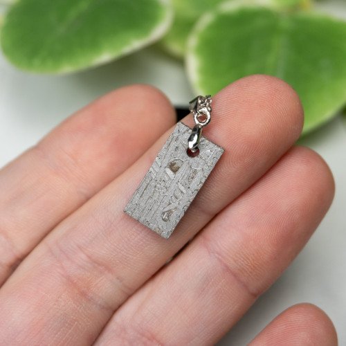 Muonionalusta Meteorite Necklace #1