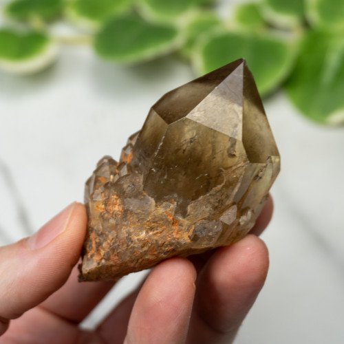 Kundalini Citrine #7