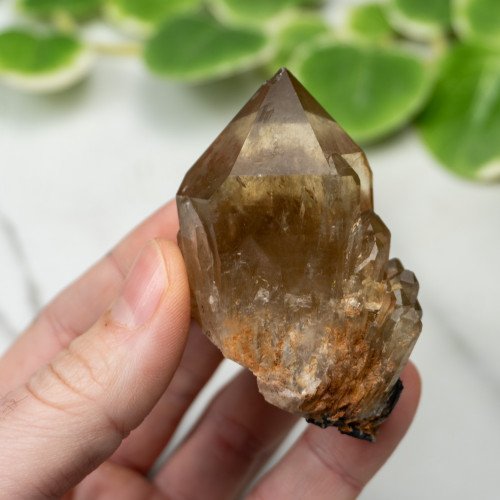 Kundalini Citrine #7