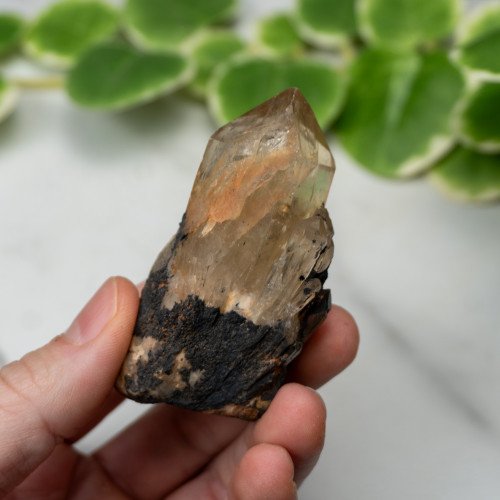 Kundalini Citrine #5