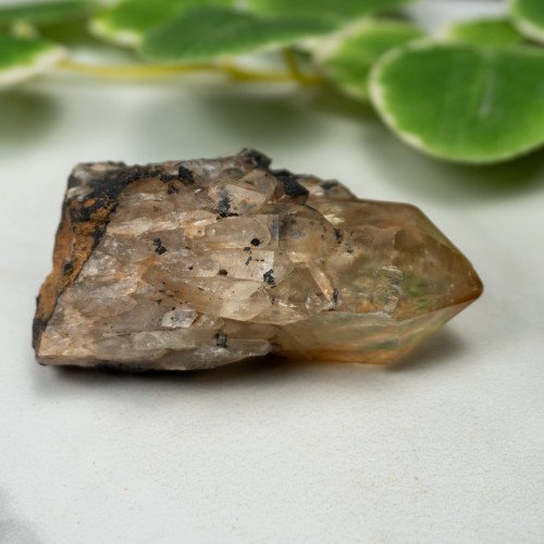 Kundalini Citrine #5