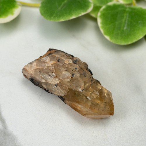 Kundalini Citrine #5