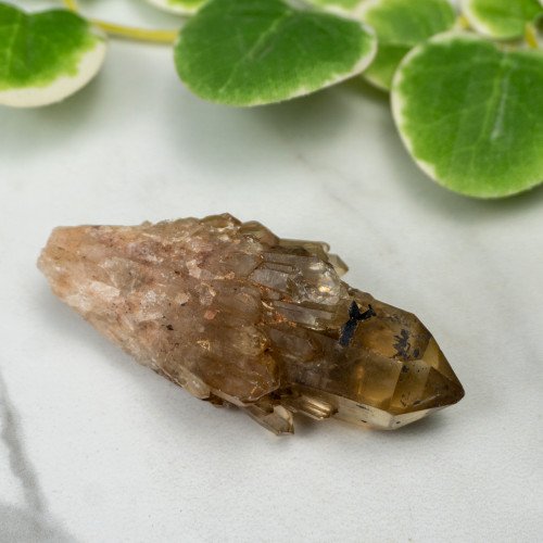 Kundalini Citrine #4