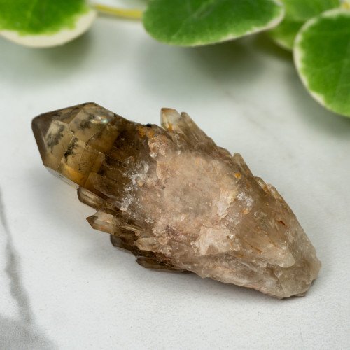 Kundalini Citrine #4