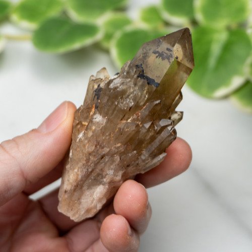 Kundalini Citrine #4