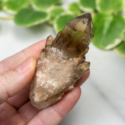 Kundalini Citrine #4