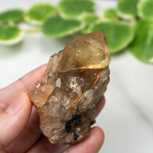Kundalini Citrine #3