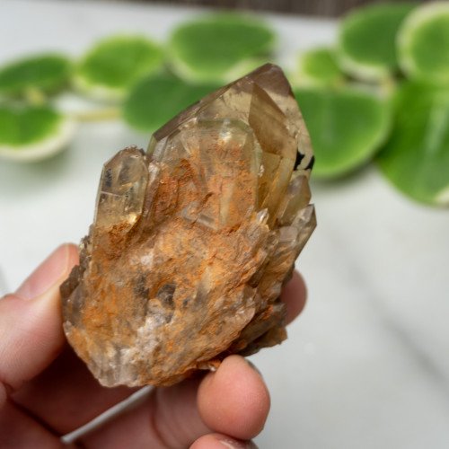 Kundalini Citrine #3