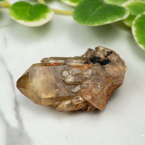 Kundalini Citrine #3