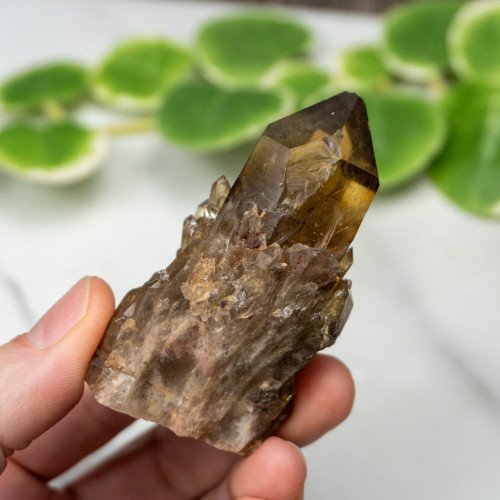 Kundalini Citrine #2