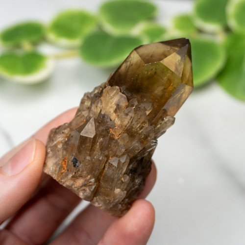 Kundalini Citrine #2