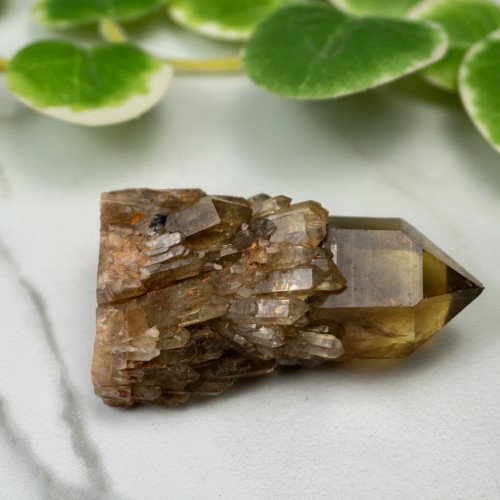 Kundalini Citrine #2