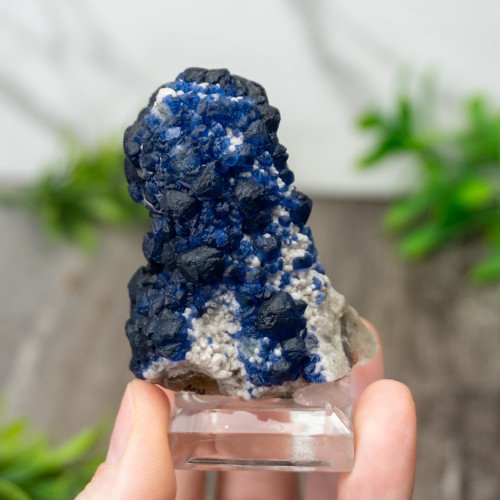 Mongolian Blueberry Fluorite #1