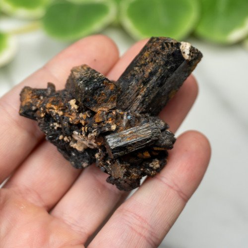 Namibian Black Tourmaline #6