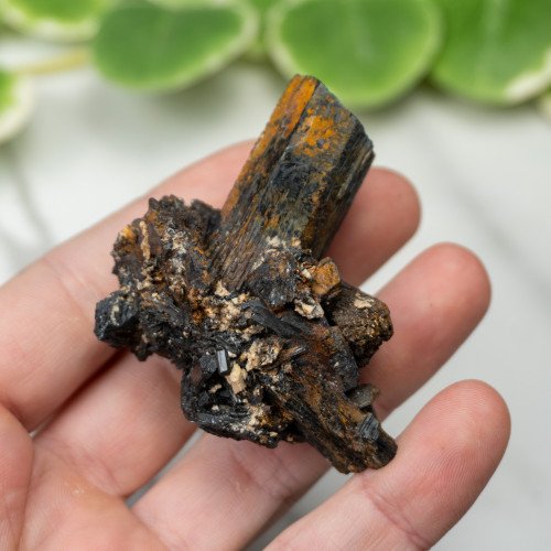 Namibian Black Tourmaline #6