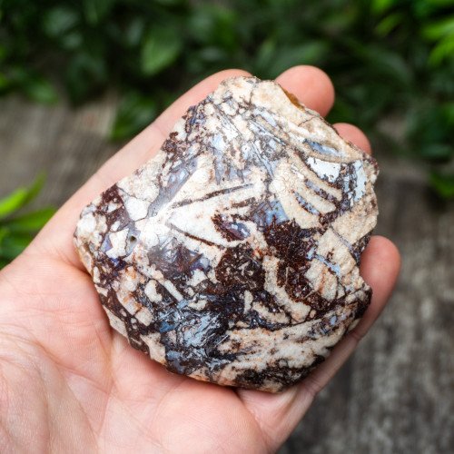 Breche Agate #1