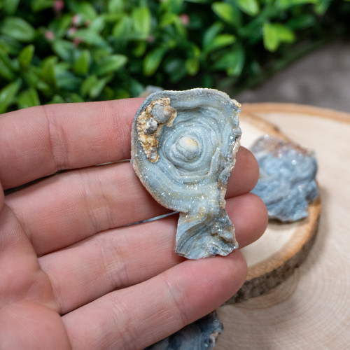 Raw Chalcedoney Rosette