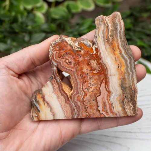 Pink Lace Chalcedony Slab #7