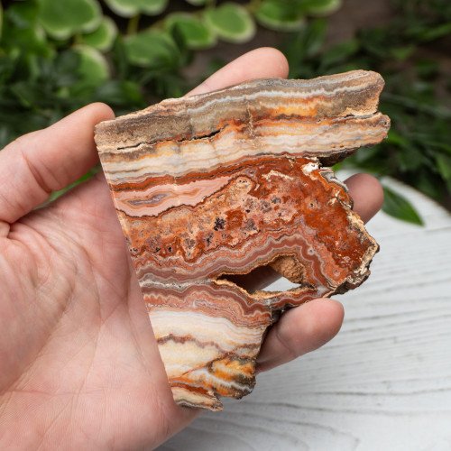 Pink Lace Chalcedony Slab #7