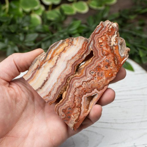 Pink Lace Chalcedony Slab #5